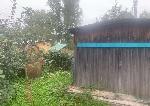 дом, 80 м², Новосибирская обл., ул.СНТ Сибиряк дом, 80 м², Новосибирская обл., ул.СНТ Сибиряк 22577373.jpeg