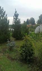  дом, 50 м&sup2;, ул.СНТ Заречный 22578469.jpeg