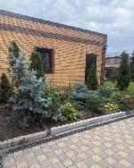 дом, 196 м², ул.Вознесенская дом, 196 м², ул.Вознесенская 22578714.jpeg