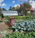 дом, 40 м², ул.СНТ Березка дом, 40 м², ул.СНТ Березка 22584175.jpeg