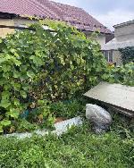 дом, 122 м², ул.Искитимская 1-я дом, 122 м², ул.Искитимская 1-я 22584521.jpeg
