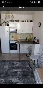 1-ком. квартира, 22 м&sup2;, ул.Виктора Уса - 9 22584966.jpeg