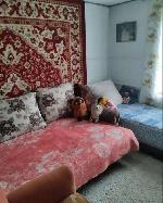  дом, 30 м&sup2;, Новосибирская обл., ул.СНТ Строитель 22585563.jpeg