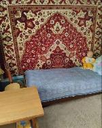 дом, 30 м&sup2;, Новосибирская обл., ул.СНТ Строитель 22585564.jpeg