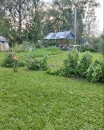  дом, 30 м&sup2;, Новосибирская обл., ул.СНТ Строитель 22585567.jpeg