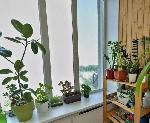1-ком. квартира, 29 м&sup2;, ул.Краузе - 21/1 22585670.jpeg