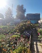 дом, 52 м², Новосибирская обл., ул.СНТ Маяк дом, 52 м², Новосибирская обл., ул.СНТ Маяк 22586796.jpeg