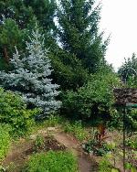 дом, 30 м², ул.СНТ Ягодка дом, 30 м², ул.СНТ Ягодка 22586803.jpeg