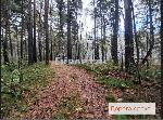ком. земельного участка, 800 м&sup2;, Кубовинский сельсовет, с.т. 