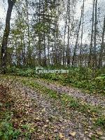 ком. земельного участка, 800 м&sup2;, Кубовинский сельсовет, с.т. 
