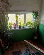 2-ком. квартира, 46 м&sup2;, ул.Макаренко - 12 22592732.jpeg