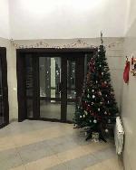 1-ком. квартира, 37 м², ул.Романтиков - 10 1-ком. квартира, 37 м², ул.Романтиков - 10 22594084.jpeg