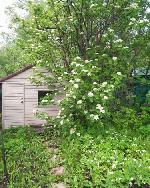 дом, 58 м², СТ Зорька, ул.Луговая дом, 58 м², СТ Зорька, ул.Луговая 22596305.jpeg
