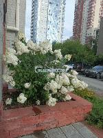 4-ком. квартиры, 122 м², ул.Гоголя - 38 4-ком. квартиры, 122 м², ул.Гоголя - 38 22597548.jpg