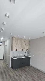 1-ком. квартира, 28 м², ул.Красный пр-кт - 182/3 1-ком. квартира, 28 м², ул.Красный пр-кт - 182/3 22598554.jpeg