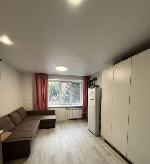  комната, 14 м&sup2;, ул.Красный пр-кт - 163/1 22598948.jpeg