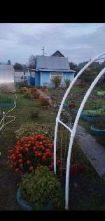 дом, 20 м², Новосибирская обл., ул.СНТ Береговое дом, 20 м², Новосибирская обл., ул.СНТ Береговое 22599711.jpeg