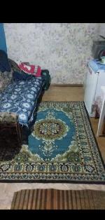 дом, 20 м², Новосибирская обл., ул.СНТ Береговое дом, 20 м², Новосибирская обл., ул.СНТ Береговое 22599714.jpeg