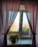 2-ком. квартира, 50 м&sup2;, ул.Семьи Шамшиных - 69А 22599769.jpeg