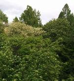 2-ком. квартира, 47 м&sup2;, ул.Морской пр-кт - 17 22599877.jpeg