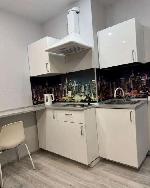 1-ком. квартира, 28 м&sup2;, ул.Красный пр-кт - 313 22600095.jpeg