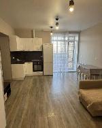 1-ком. квартира, 49 м², ул.Мясниковой - 30 1-ком. квартира, 49 м², ул.Мясниковой - 30 22600915.jpeg