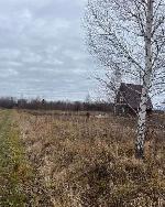 земельный участок, 10 м², днт Волна, ул.Кленовая земельный участок, 10 м², днт Волна, ул.Кленовая 22601514.jpeg