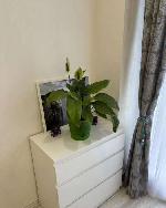 2-ком. квартира, 46 м&sup2;, ул.Приморская - 24/2 22602342.jpeg