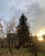  дом, 35 м&sup2;, снт Волна, ул.Зелёная 22602499.jpeg