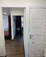 1-ком. квартира, 30 м&sup2;, ул.Владимировский Спуск - 9 22603739.jpeg