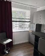 1-ком. квартира, 30 м&sup2;, ул.Владимировский Спуск - 9 22603743.jpeg