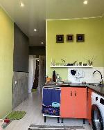 2-ком. квартира, 55 м&sup2;, ул.Семьи Шамшиных - 85 22604337.jpeg