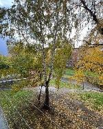 3-ком. квартира, 59 м&sup2;, ул.Грибоедова - 80 22604370.jpeg