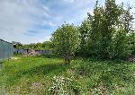  земельный участок, 12 м&sup2;, Новосибирская обл., ул.СНТ Облепиха 22604859.jpeg